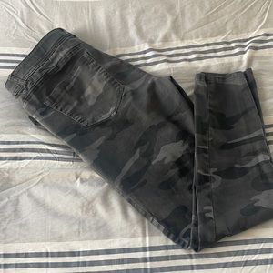 Democracy AB Solution Pants